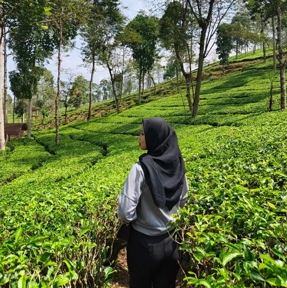 IN NURFASIFATUN